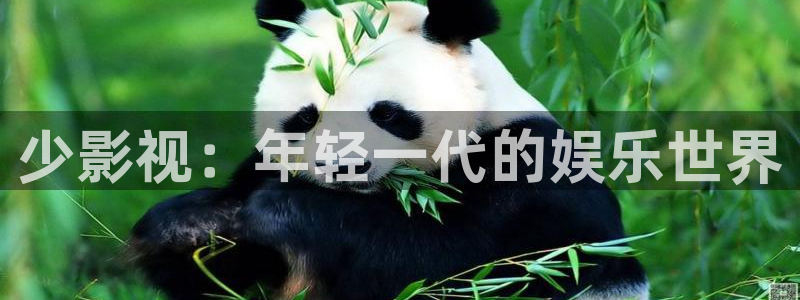 紅葉影院免費觀看電視?。荷儆耙暎耗贻p一代的娛樂世界